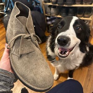 Clarks Desert Boot size 11.5 only worn once